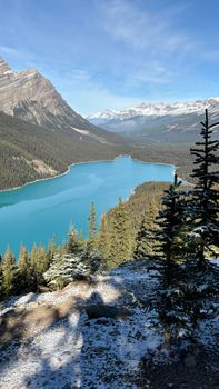 Stunning view of turquoise Peyto Lake surrounded by snow-capped mountains in Banff National Park.