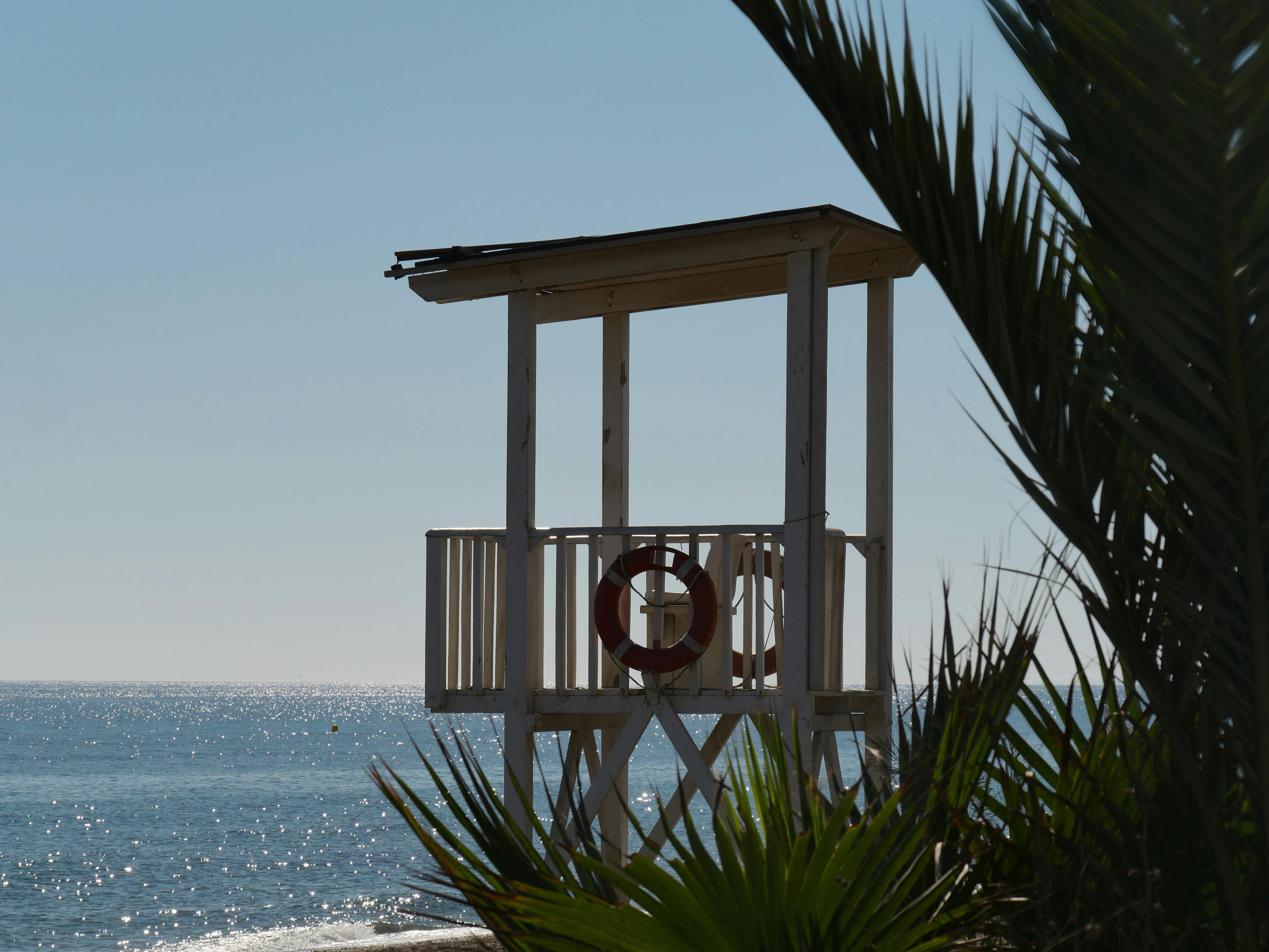Tranquil beach with lifeguard tower and palm trees under a clear blue sky. - Photo by Dirk Pothen on Pexels