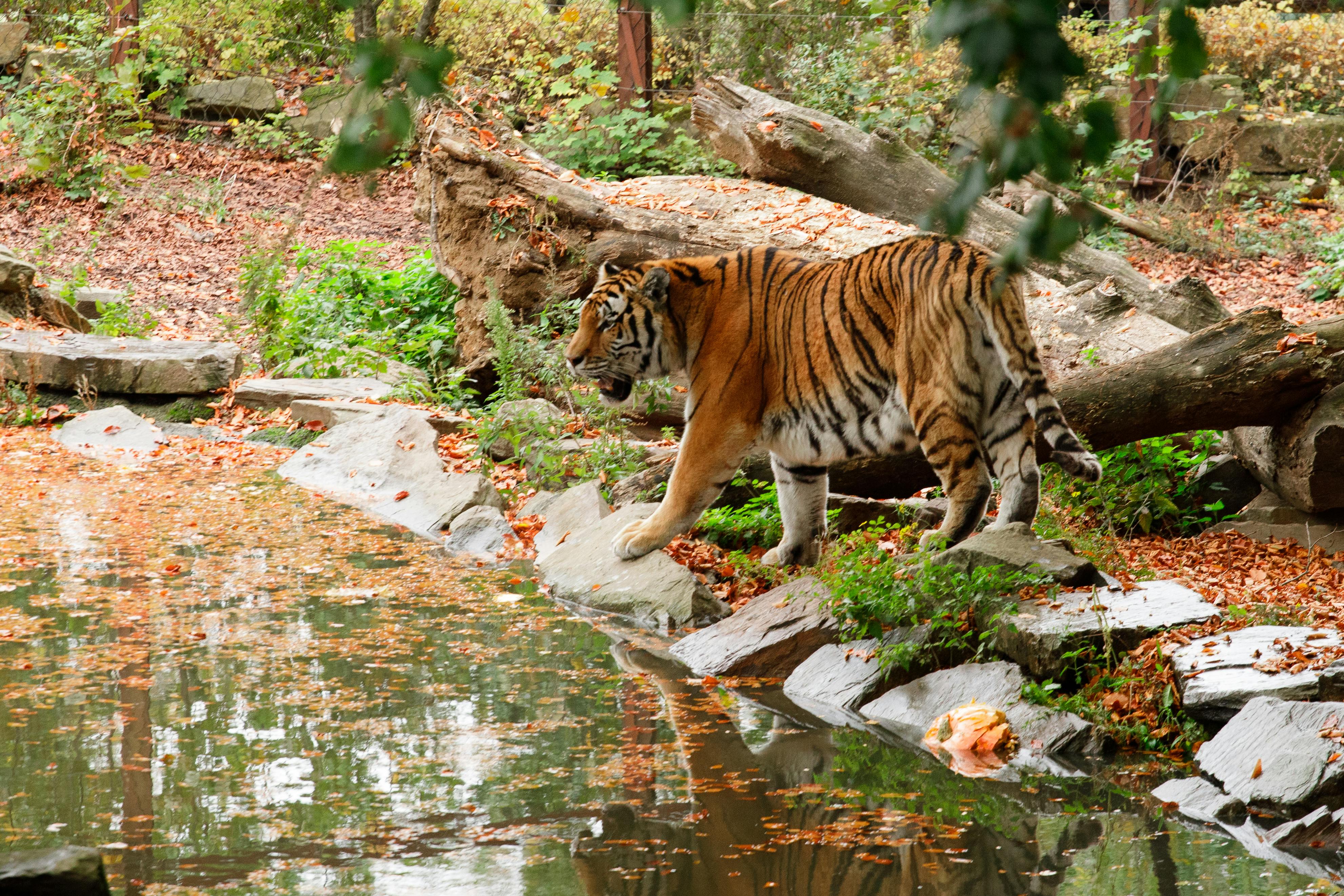亞美莉卡·費雷拉呼籲好萊塢勇敢面對政治挑戰