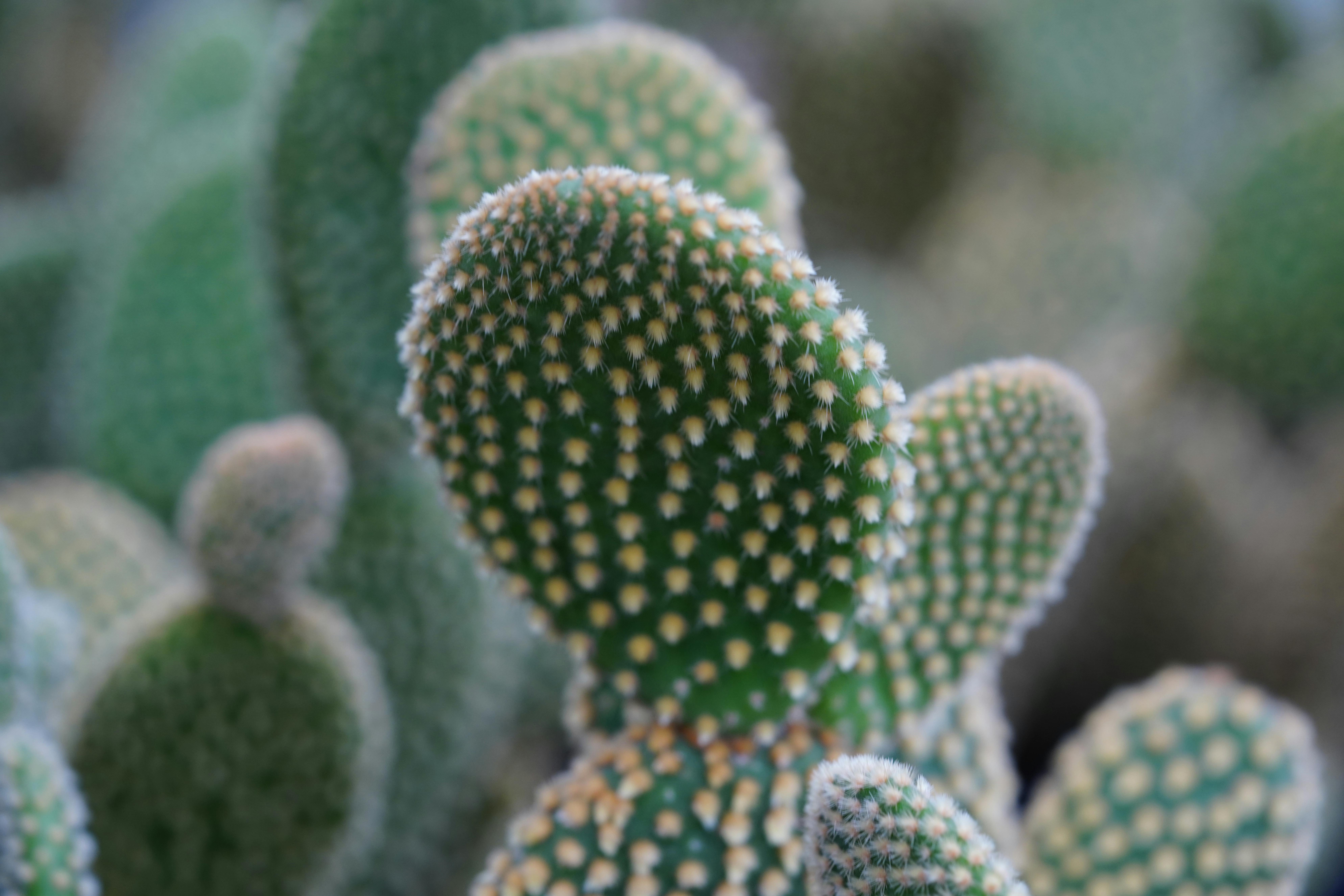 Sustainable Growth Tips for Ambitious Entrepreneurs and Financial Strategies