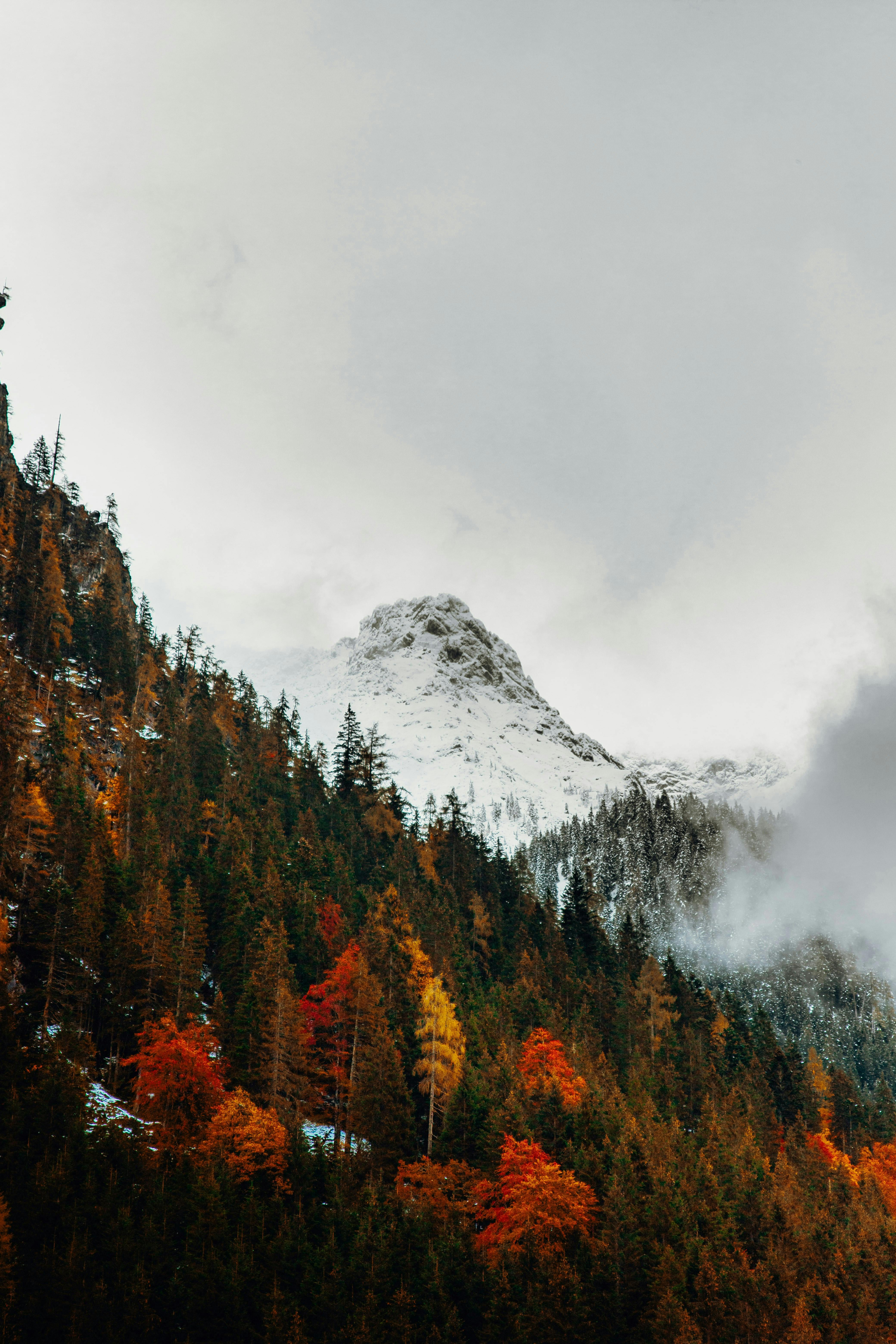 Misty autumn landscape with colorful foliage and snow-capped peaks in Austria.