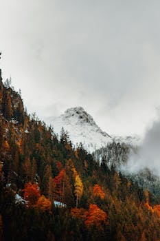 Misty autumn landscape with colorful foliage and snow-capped peaks in Austria.