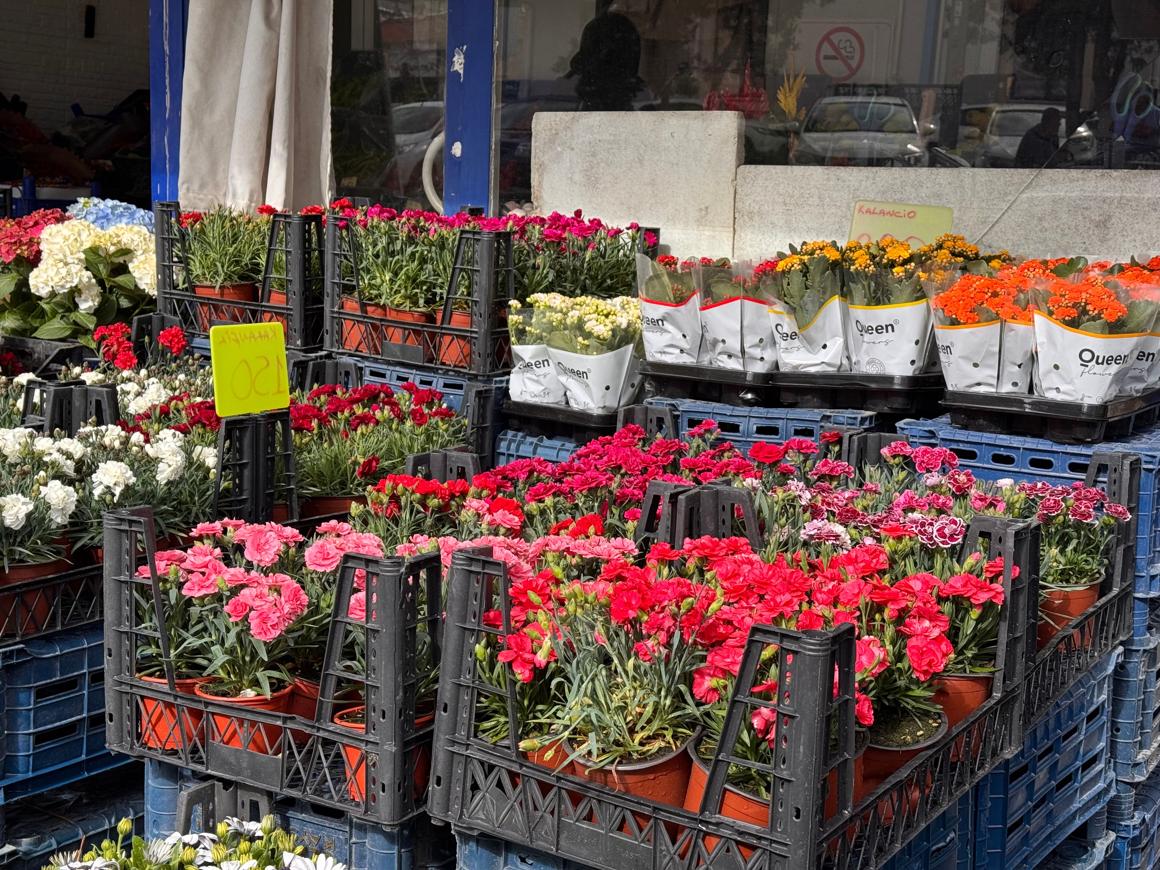 Gratis Farverige blomster i kasser på et udendørs marked, der fremviser forskellige blomster. Lagerfoto