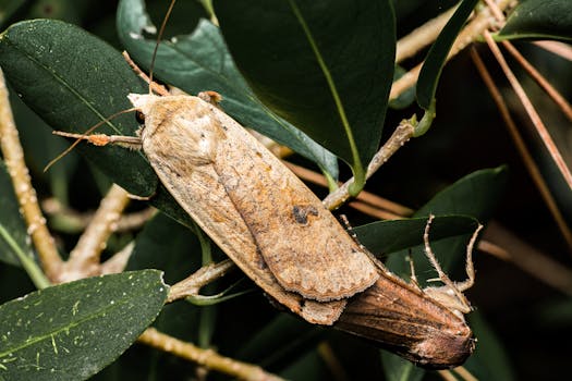 Image by Rafael Minguet Delgado