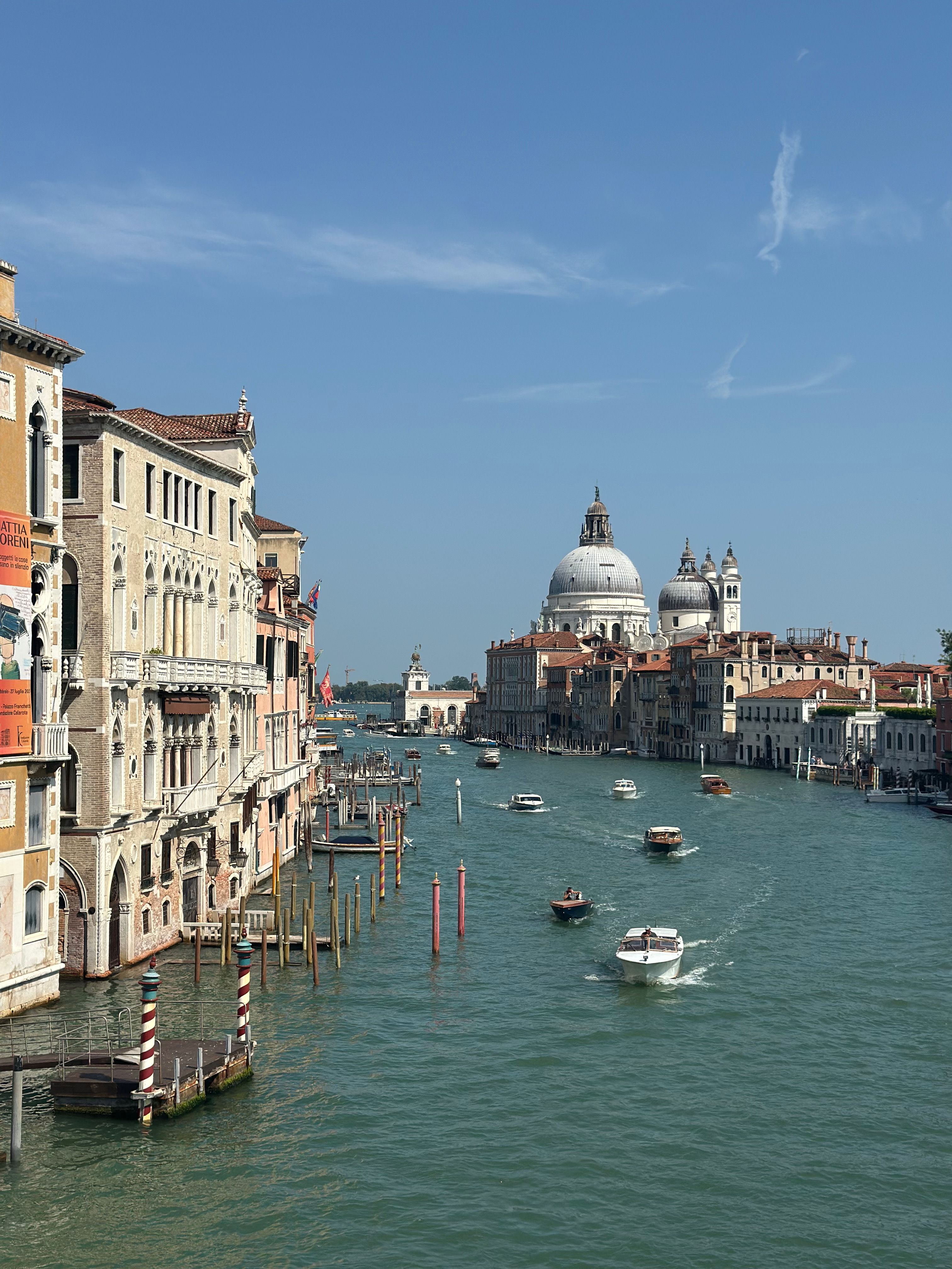 Venice Biennale 2024 Review: Highlights, Critical Analysis, and the State of Contemporary Art