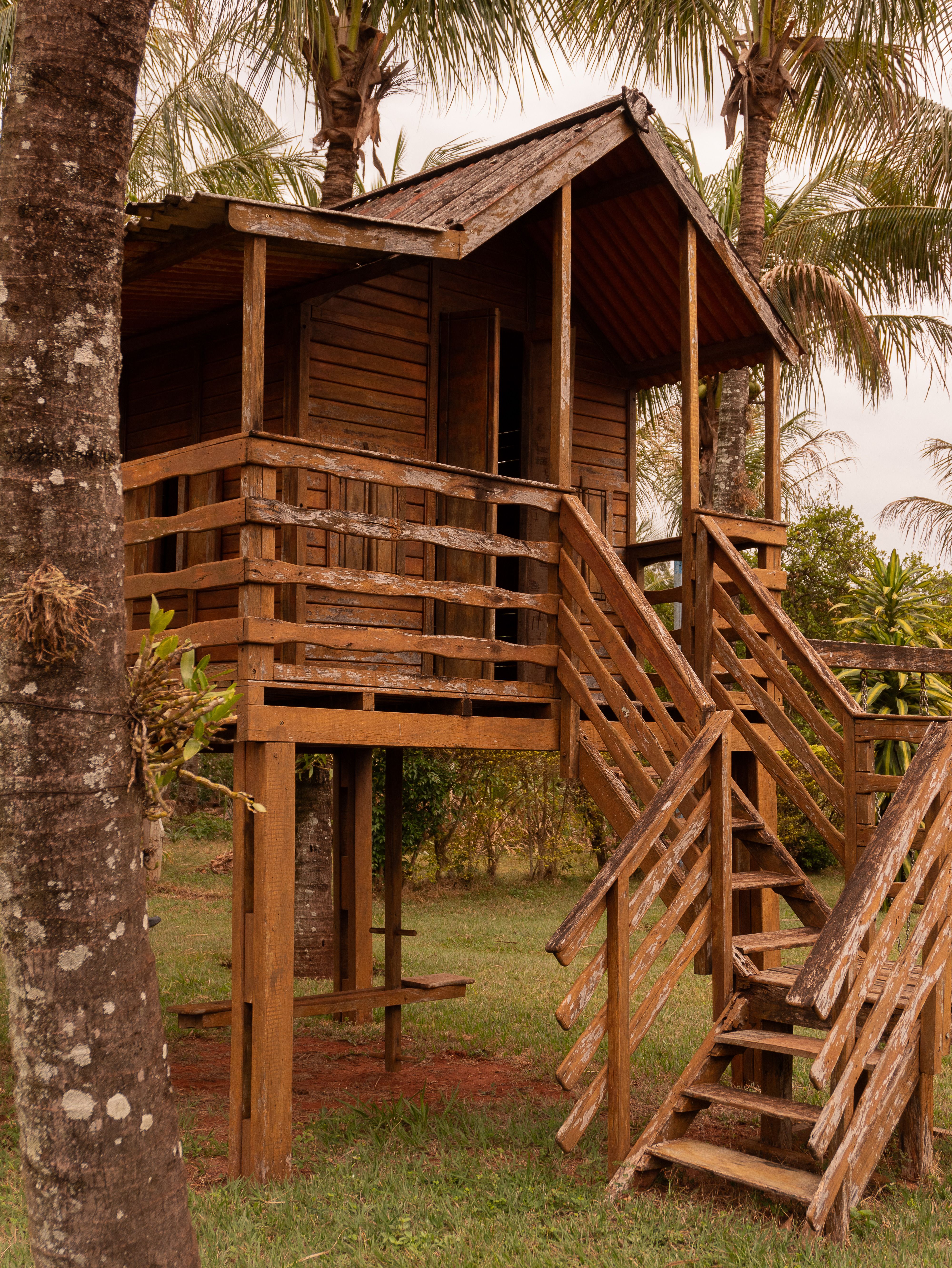 Rustic Wooden Treehouse in Tropical Setting · Free Stock Photo