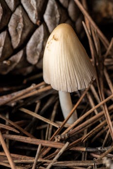 Image by Rafael Minguet Delgado