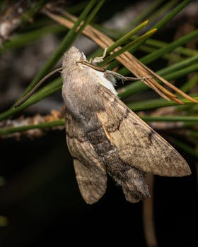 Image by Rafael Minguet Delgado