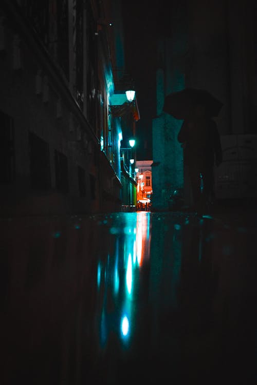 Free stock photo of after rain, city, city lights