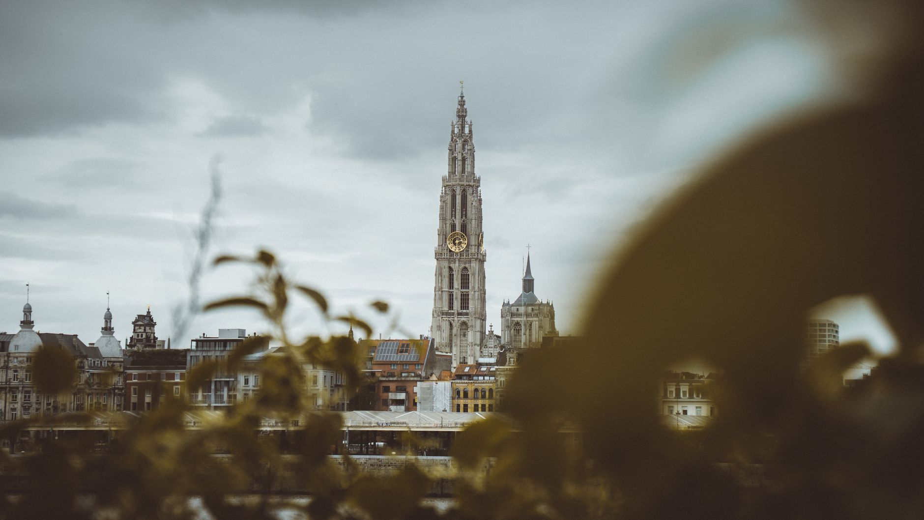 Erasmus en Amberes, Bélgica