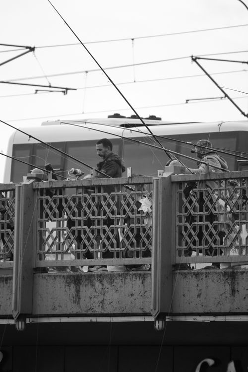 Free Monochrome photo of people fishing from a city bridge with overhead tram cables. Stock Photo