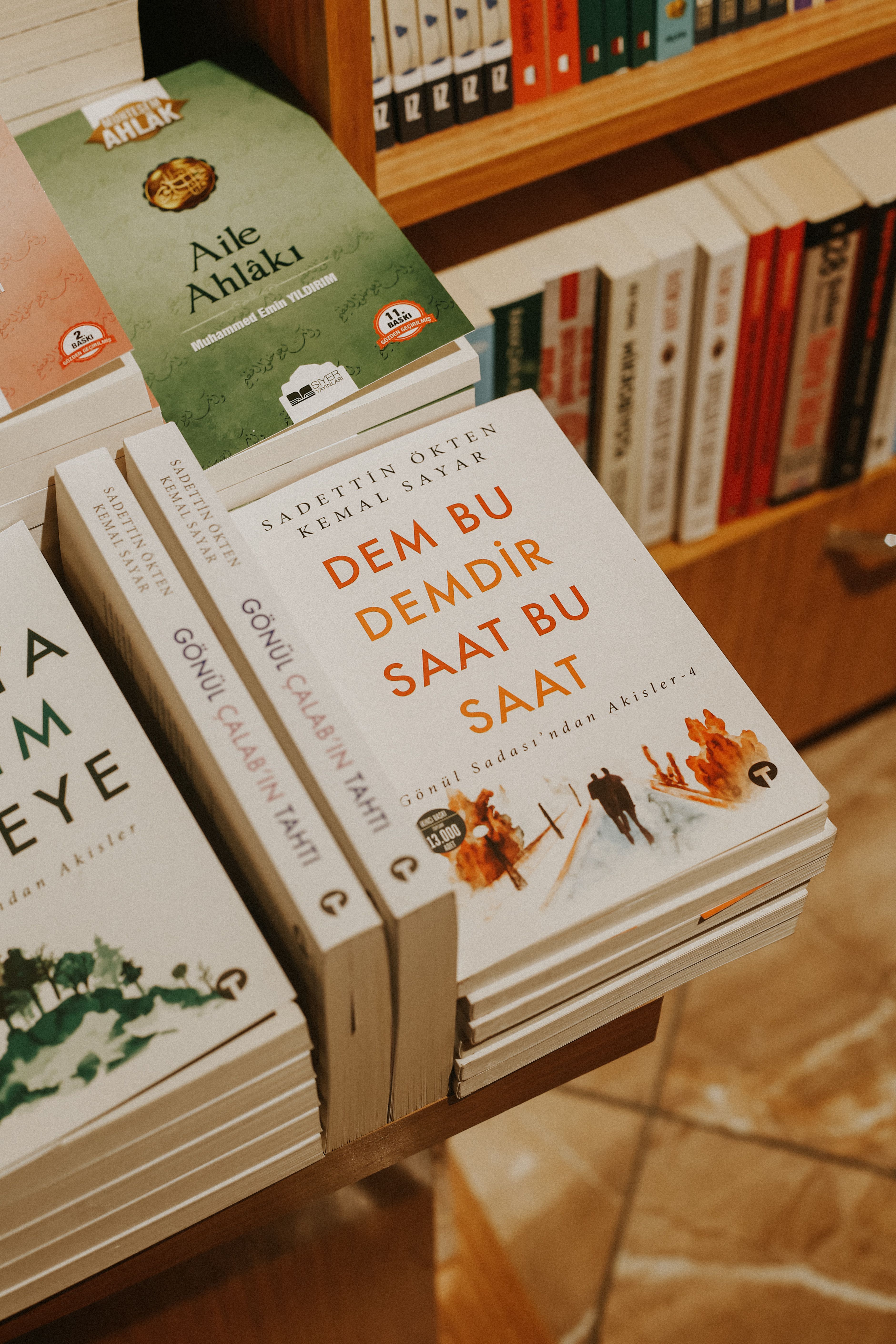 A collection of Turkish books displayed in a cozy bookstore setting, showcasing diverse literature.