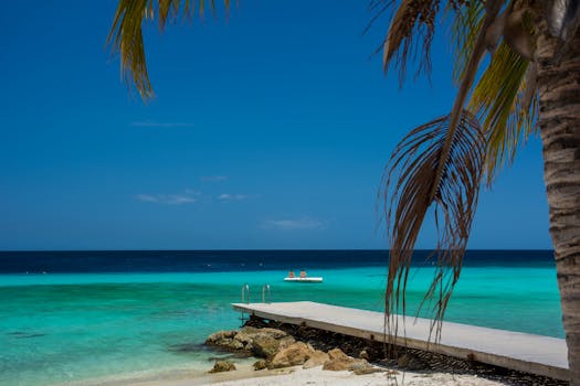 A tranquil beach scene with a wooden pier extending into turquoise water under a clear blue sky.
