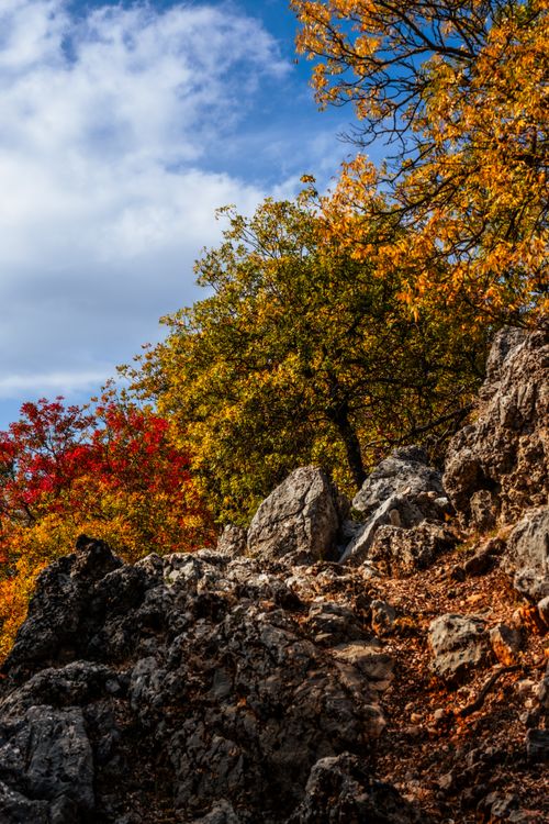 Free Colorful autumn scene with rocky terrain and vibrant foliage under a bright sky. Stock Photo