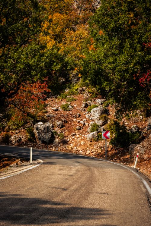 Free Winding road surrounded by colorful autumn foliage and rocky terrain in a forest. Stock Photo