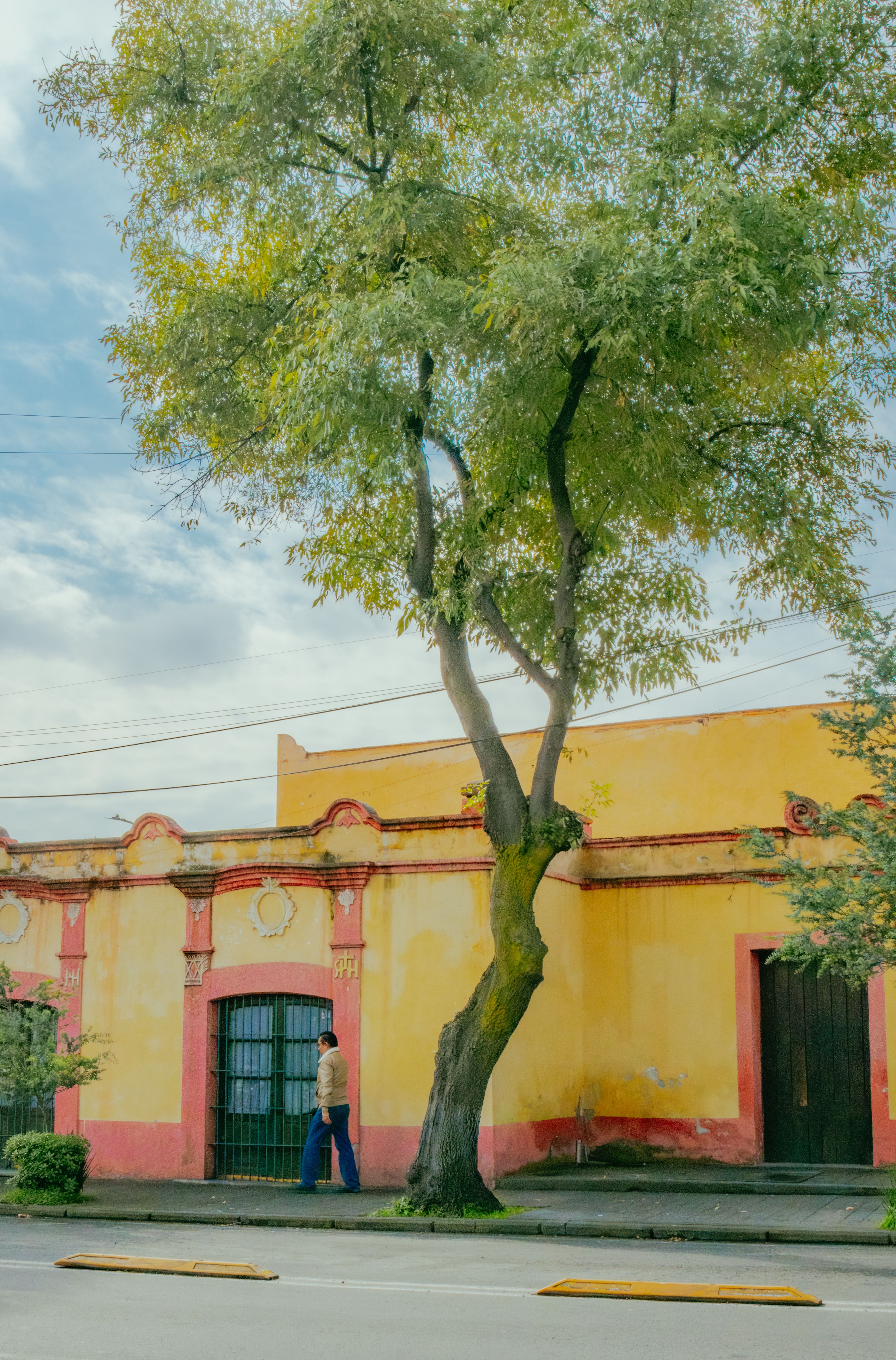 Vibrant colonial street scene in Toluca, showcasing architecture and nature.