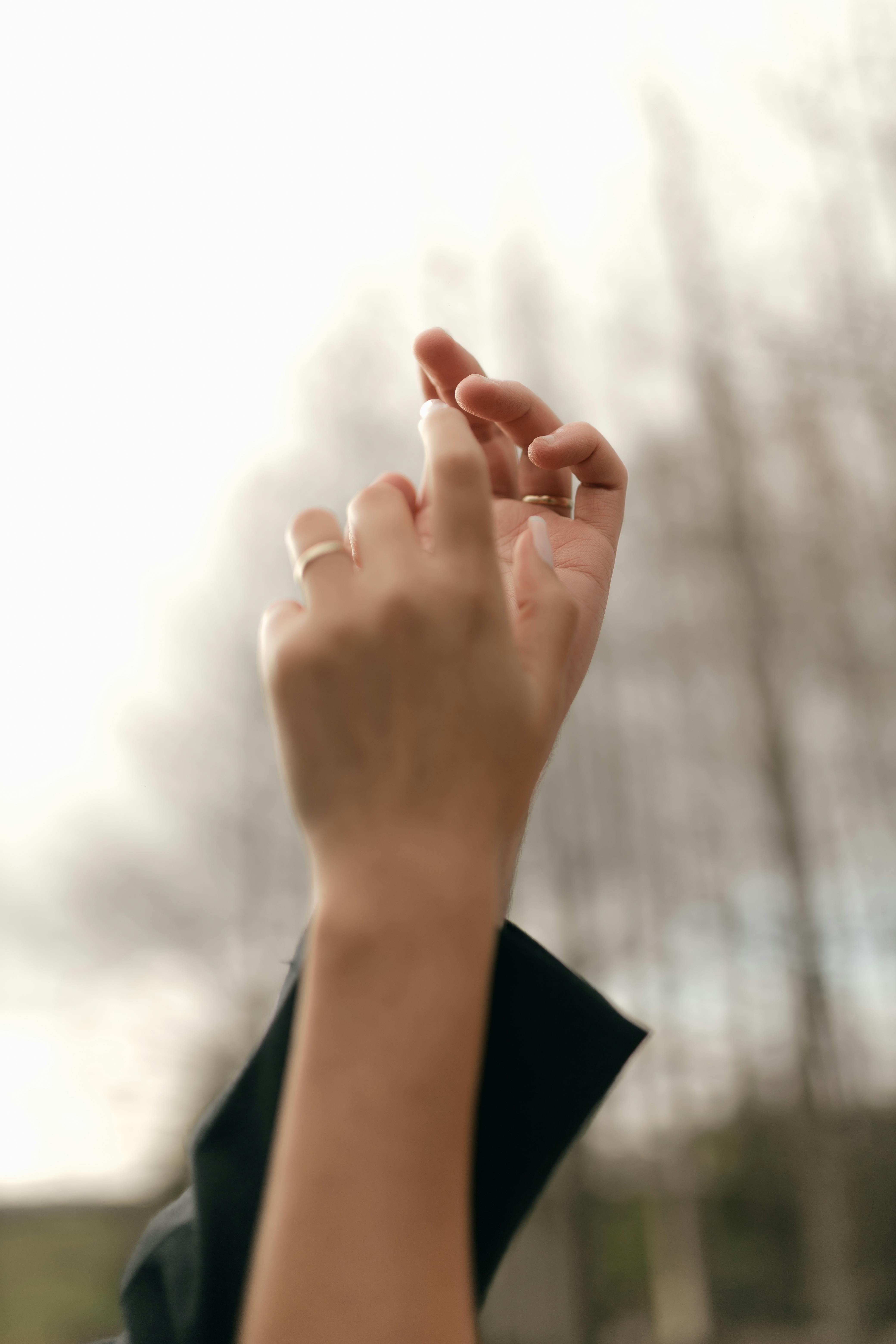 Gratis Immagine gratuita di alberi, aria aperta, aspirazione Foto a disposizione