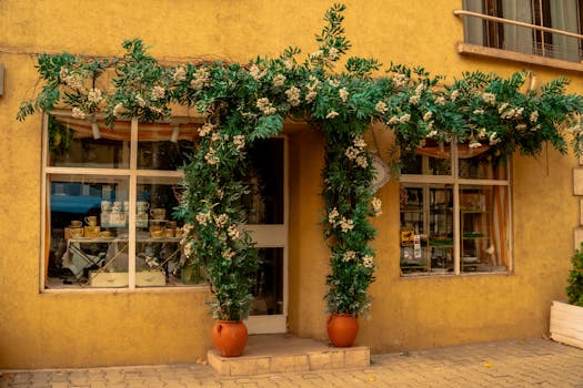 Exterior view of a Sofia shop adorned with a beautiful floral archway on a sunny day.