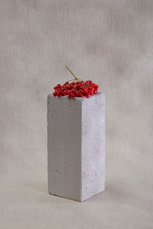 Red berries on a concrete block — Photo by Valentin Ivantsov on Pexels