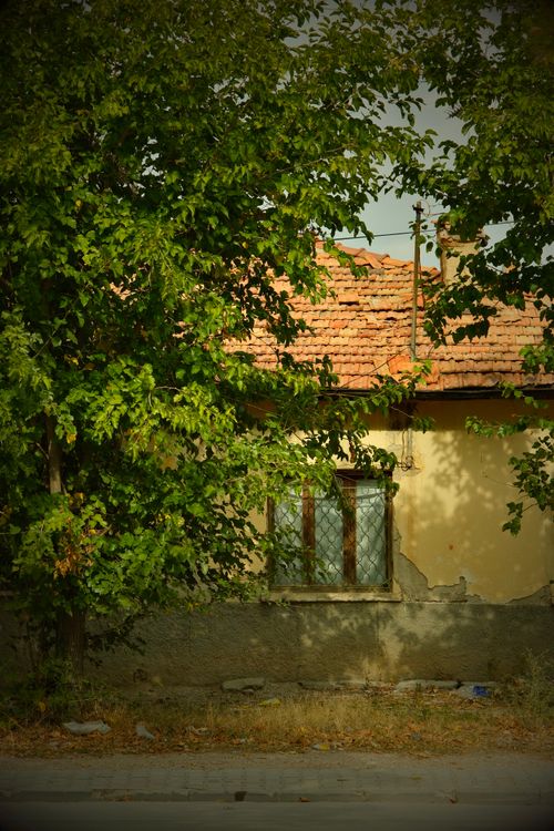 Free Rustic house partially obscured by lush green trees, creating a serene countryside scene. Stock Photo