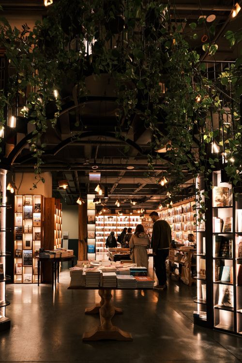 Free Warm and inviting bookstore interior with ambient lighting and lush plant decorations. Stock Photo