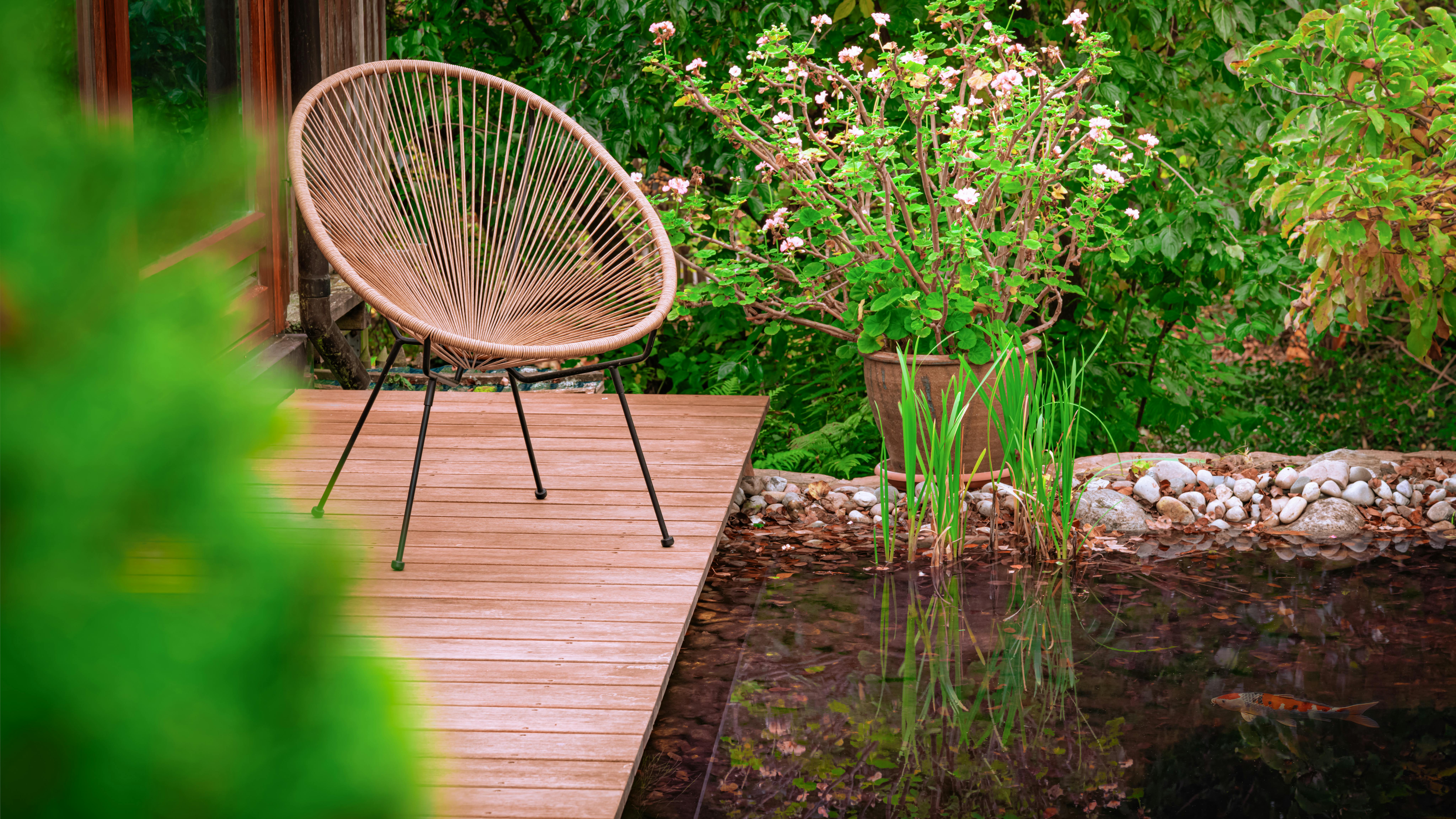 How To Make Your Own Backyard Fish Pond