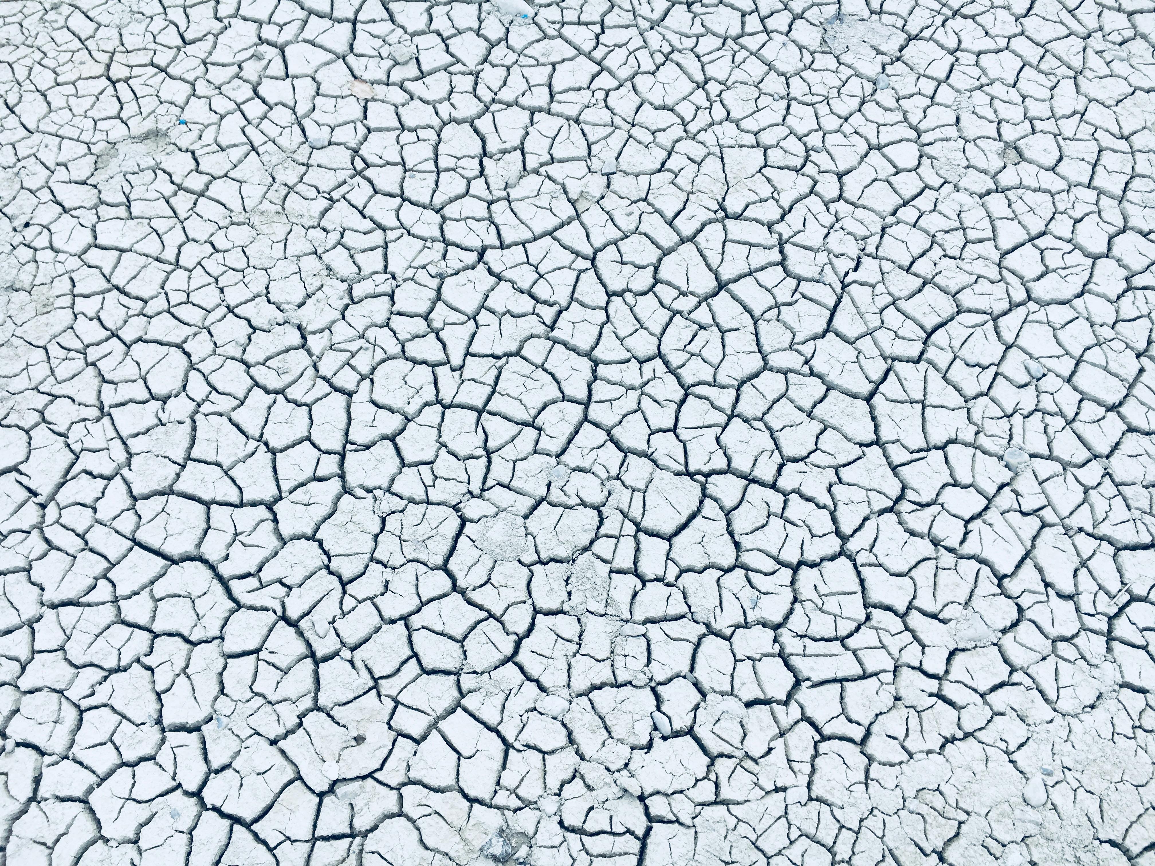 Solarización del Suelo: Desinfección Agroecológica y Resiliencia Agrícola