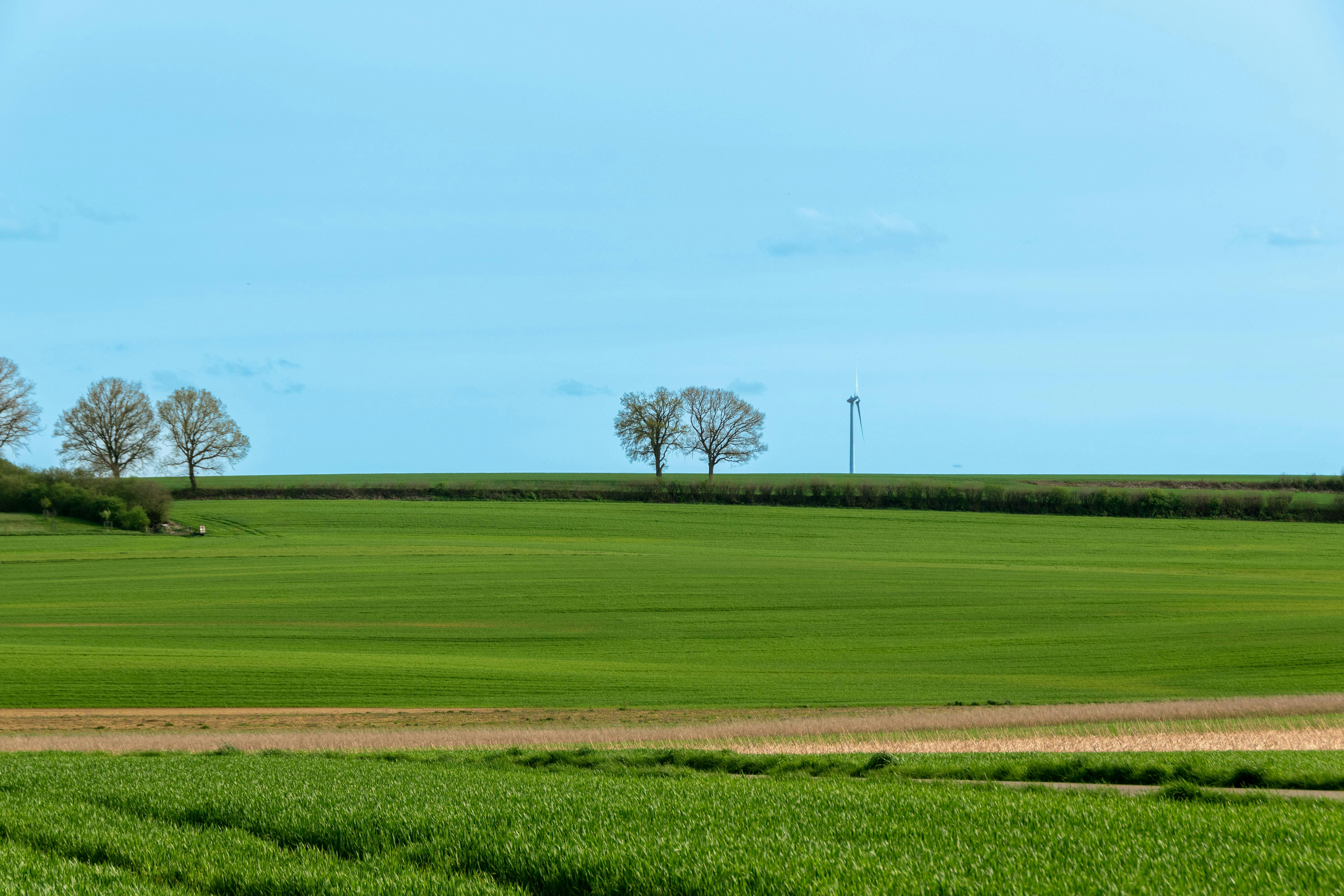 Foto profissional gratuita de agricultura, amigo do ambiente, ao ar ...