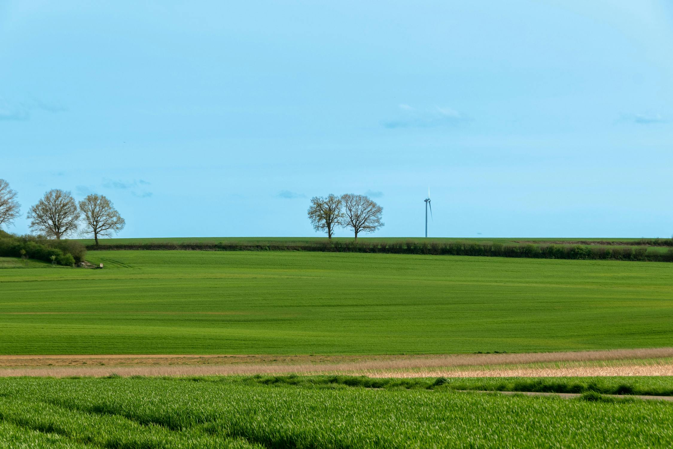 Foto profissional gratuita de agricultura, amigo do ambiente, ao ar ...