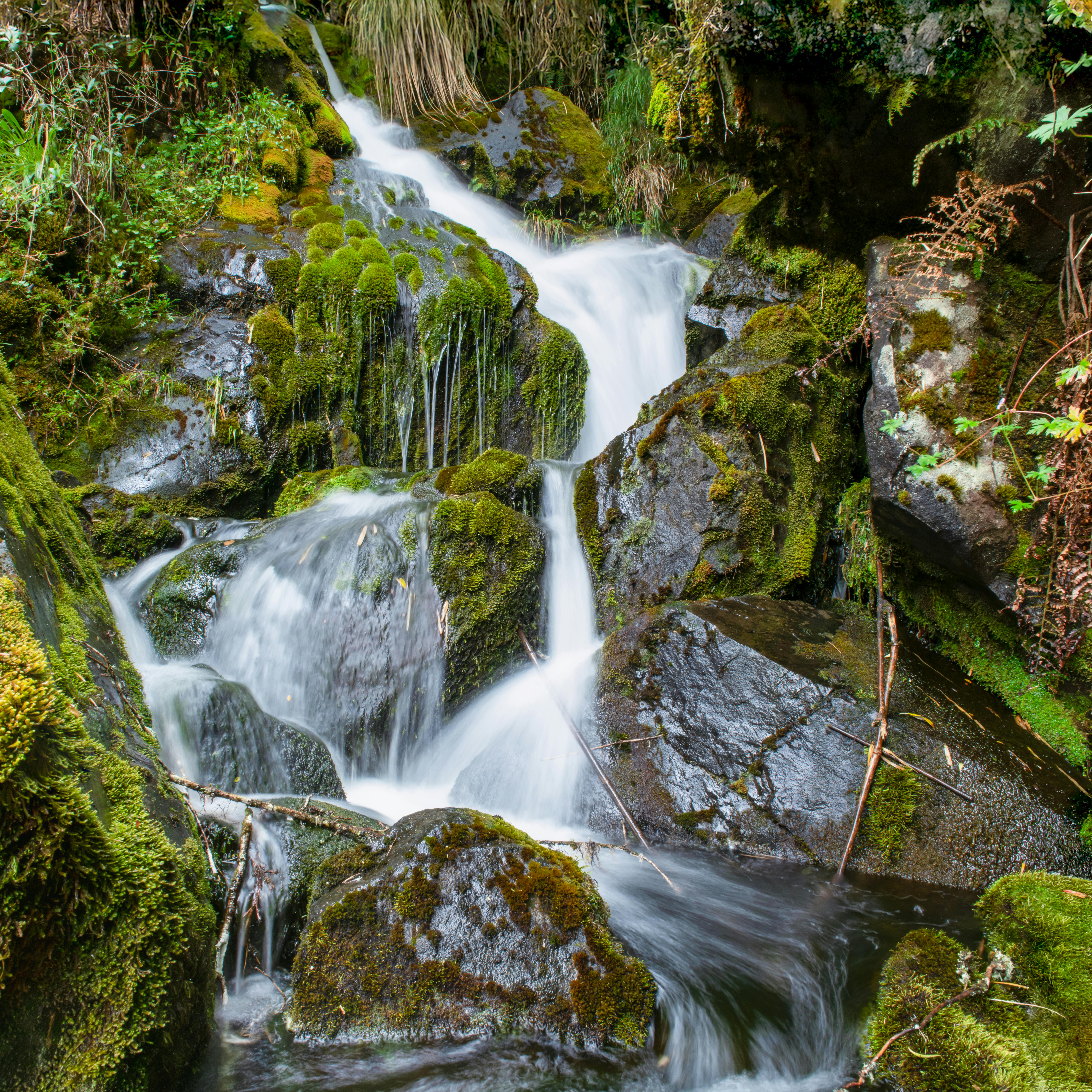 財經：豪雨季節潮濕難耐，專家教你5大妙招與3款必備除濕小物