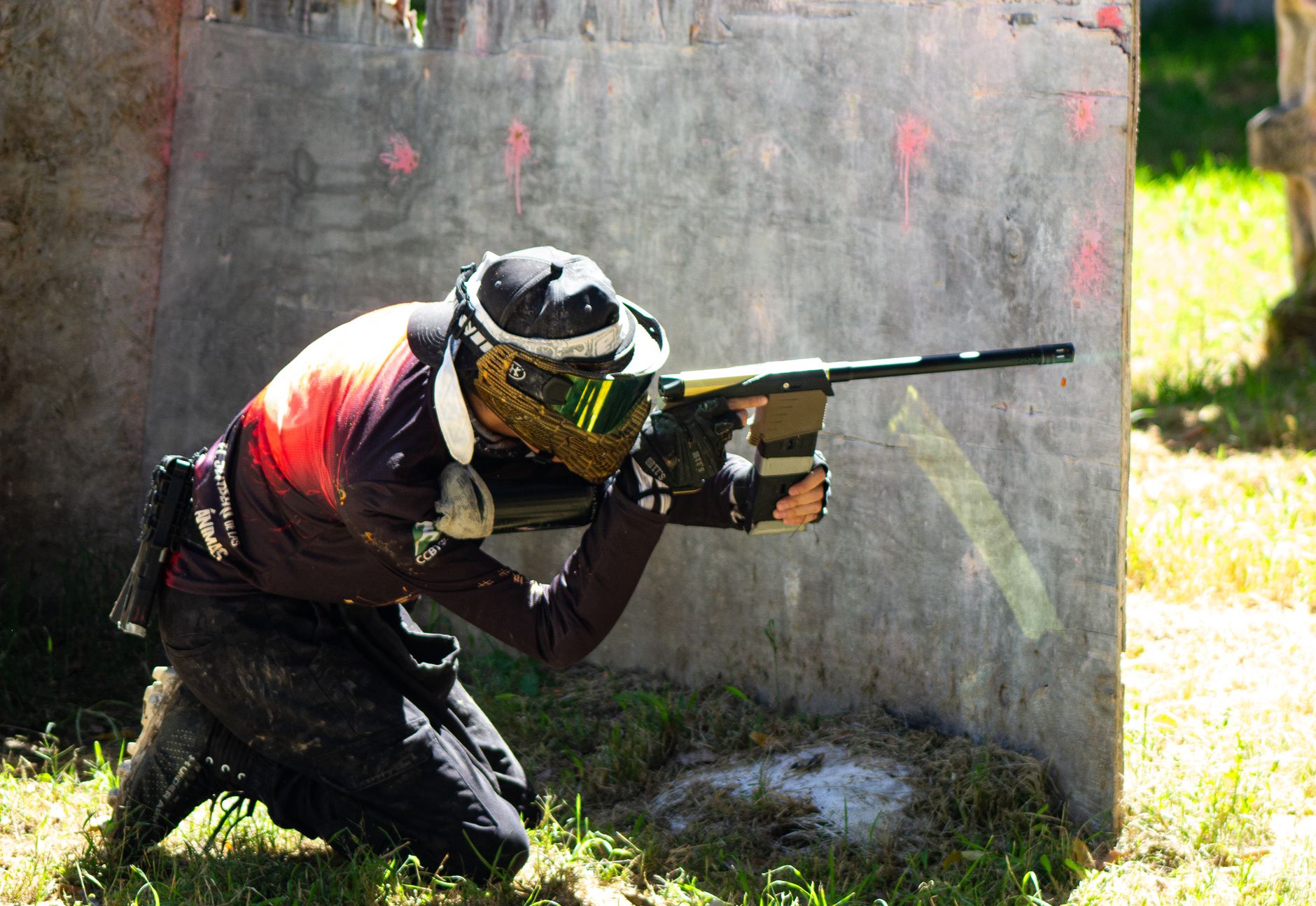 awp cs2