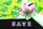 save
