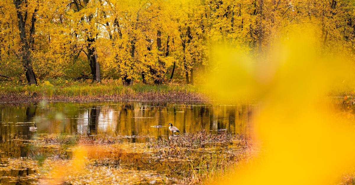 中秋彩券大放送!🎉 4.5億加碼等你來拿!