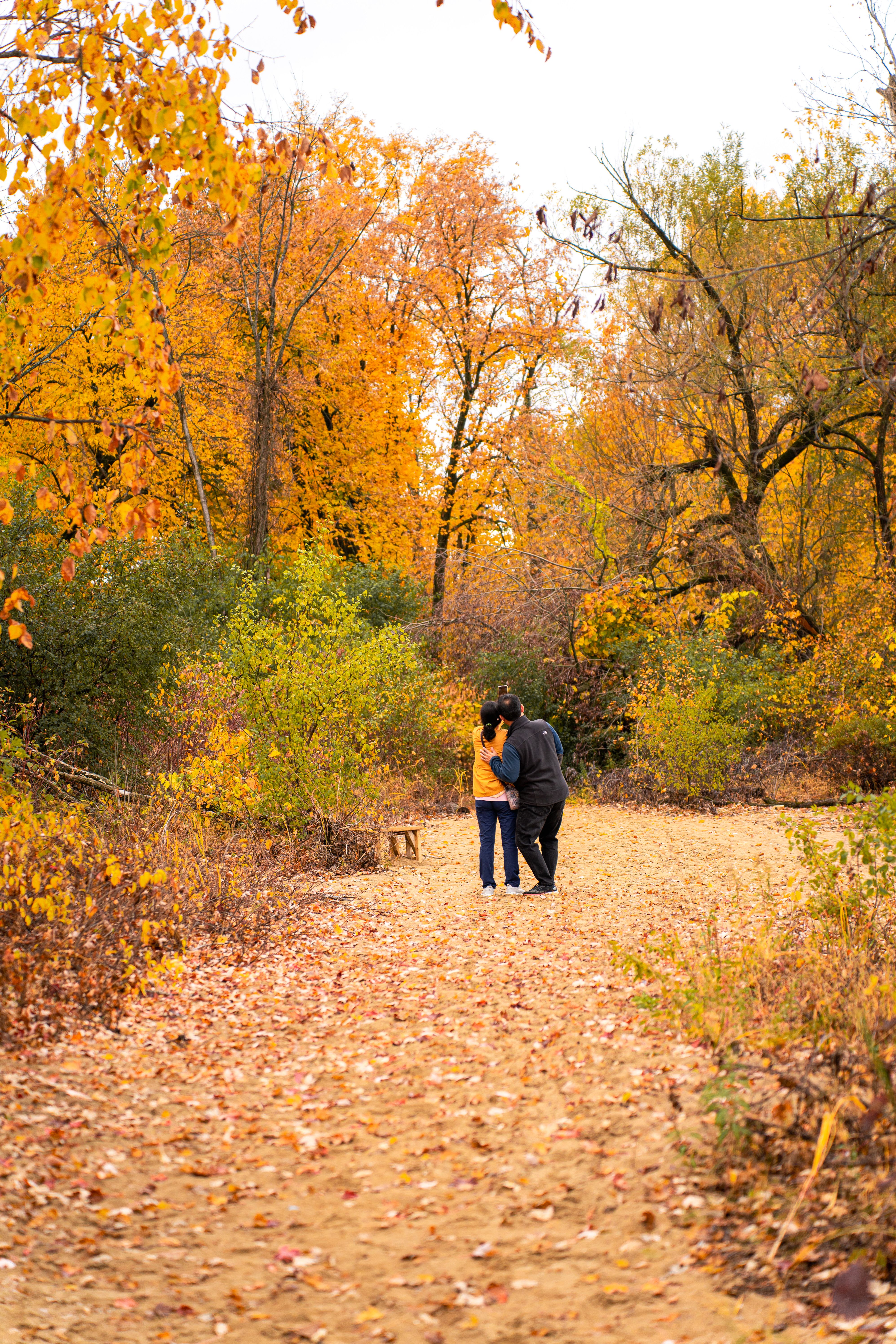 Couple Walking in Vibrant Autumn Forest · Free Stock Photo