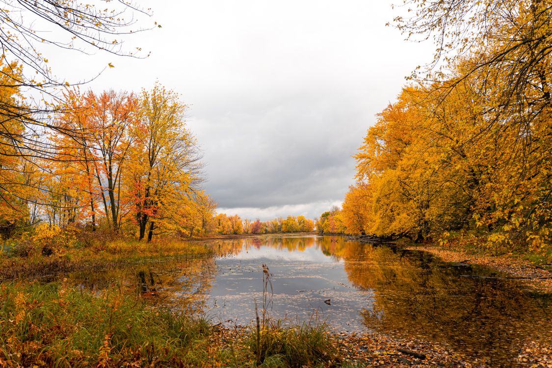 Autumn Landscape with Colorful Trees and Lake Reflection · Free Stock Photo