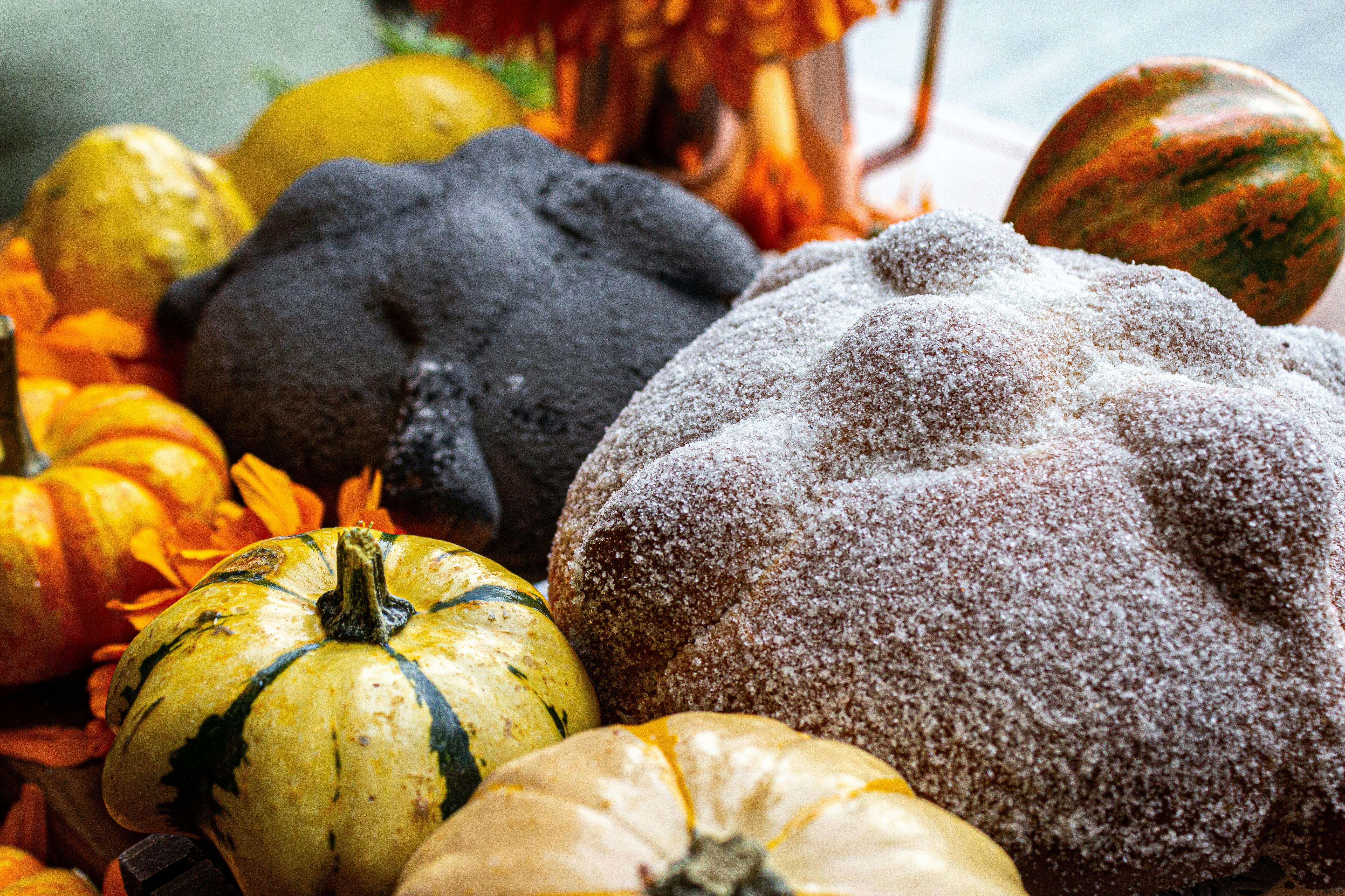 退休生活突變困境！63歲翁因意外啃超商麵包度日