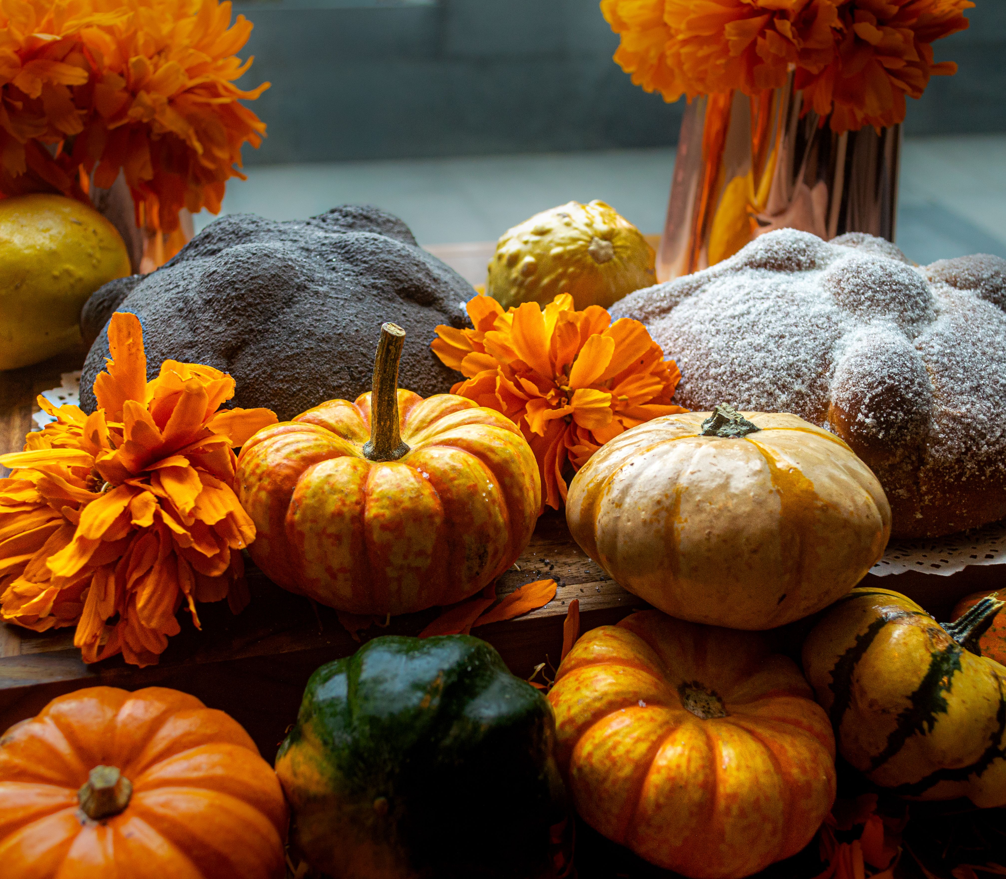 Vibrant Autumn Display with Pumpkins and Marigolds · Free Stock Photo