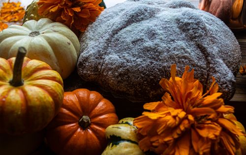 Free Cozy autumn still life featuring pumpkins, pumpkin bread, and marigolds. Stock Photo