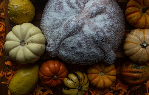 Free Pumpkin-shaped bread dusted with sugar surrounded by various gourds and autumn leaves. Stock Photo