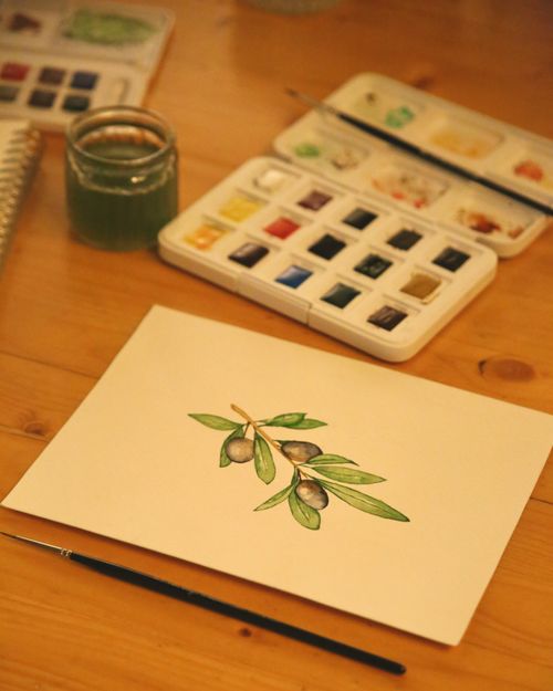 Free Watercolor painting of olive branch with paints and brushes on wooden table. Stock Photo