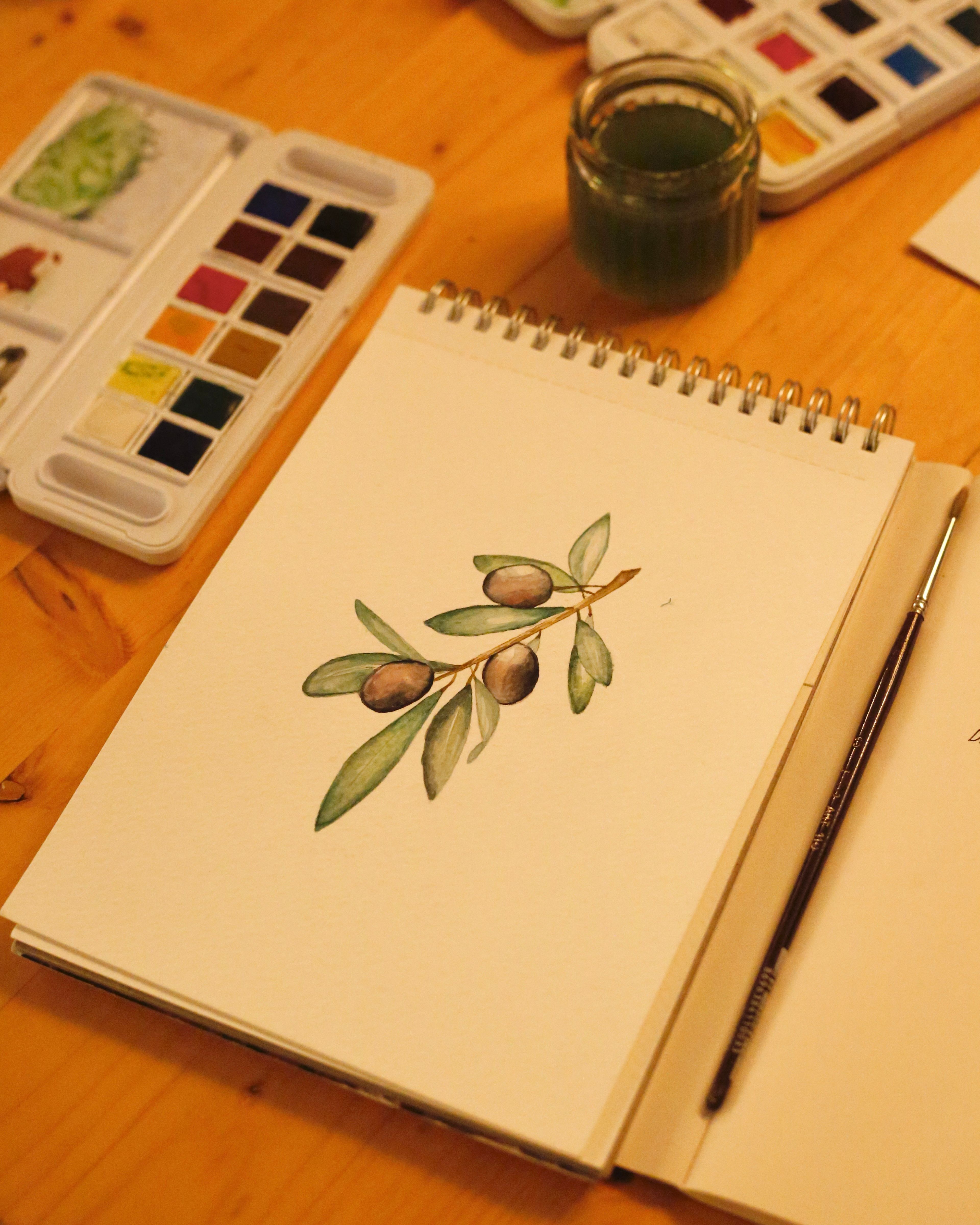 Artistic watercolor painting of olive branch on paper with paint set and brush.