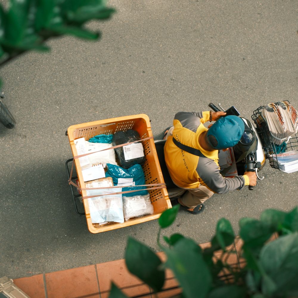 Westminster — professional packers wrapping and boxing belongings