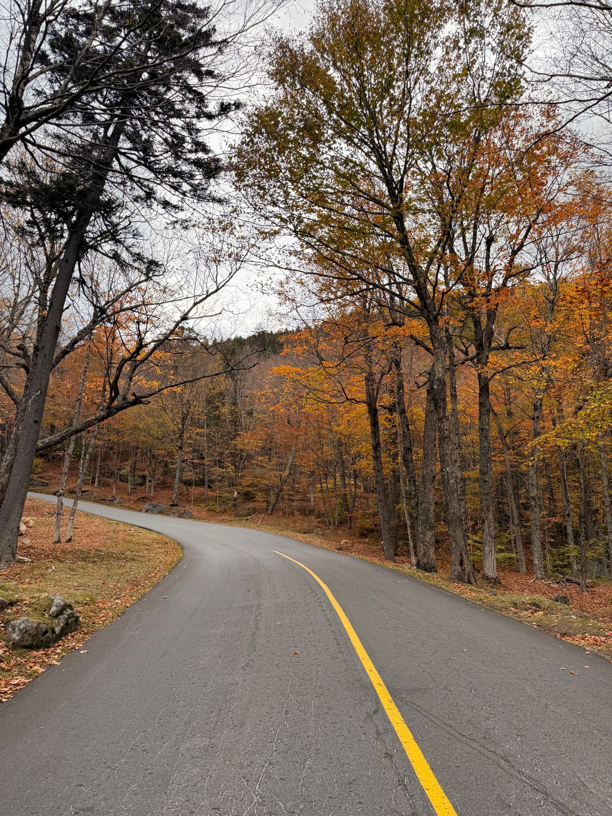 新罕布什尔白山 Kancamagus 公路秋色