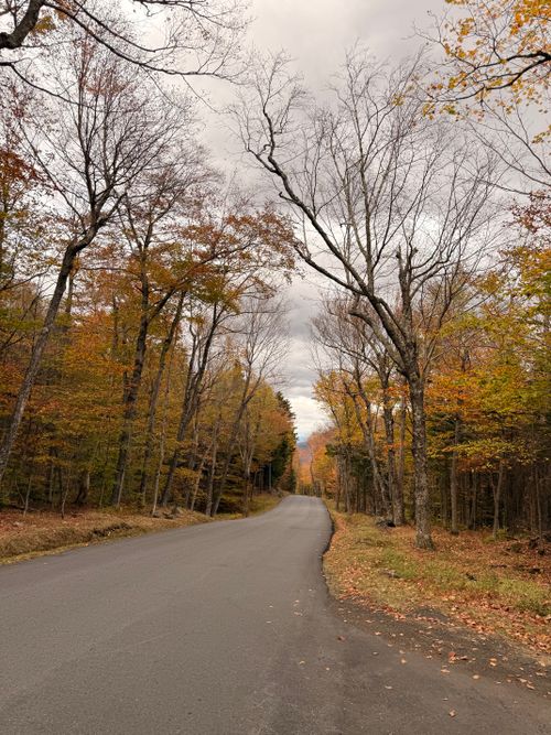 Free A peaceful road winding through a colorful autumn forest in New Hampshire's White Mountains. Stock Photo