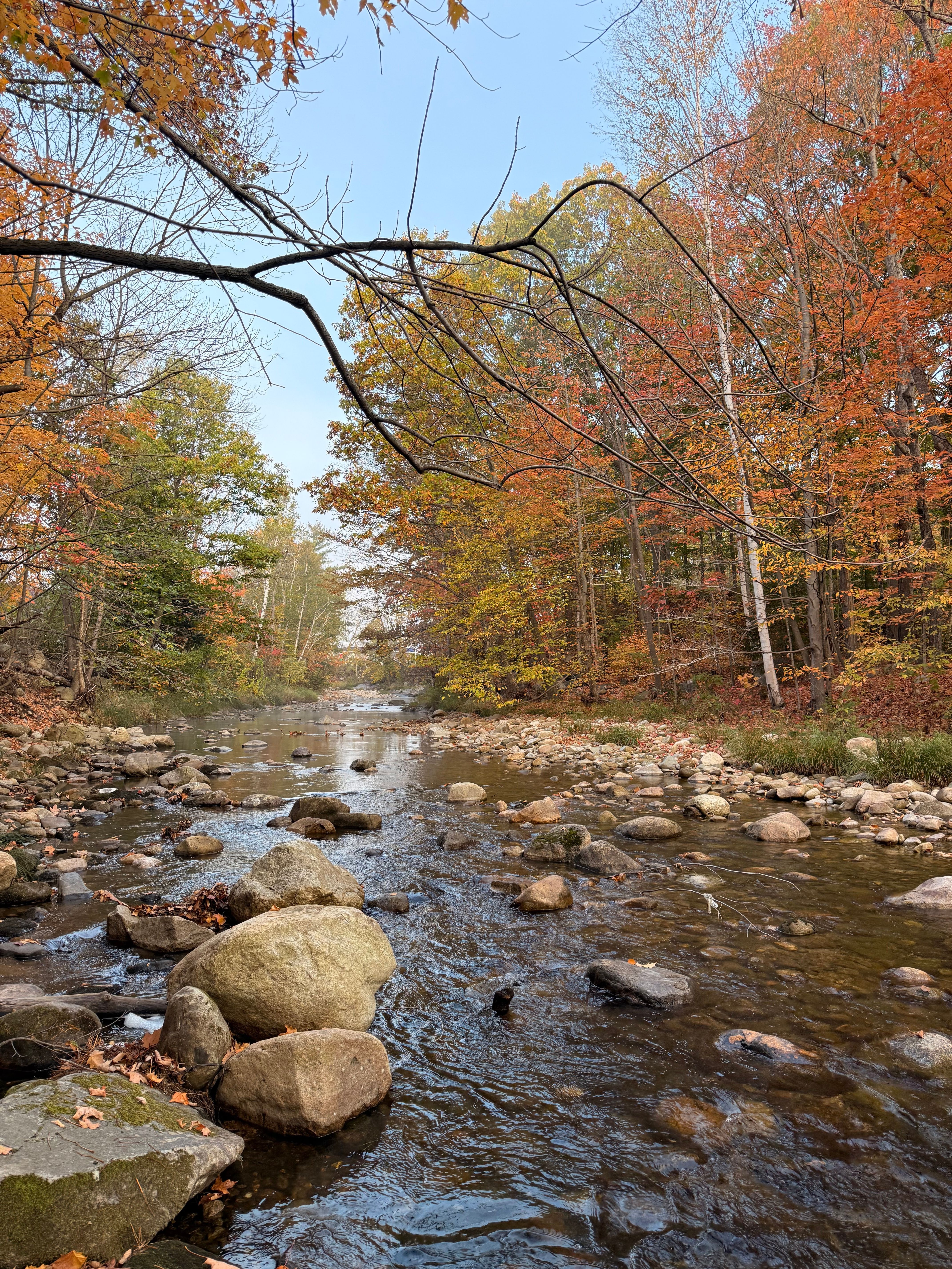 Serene Autumn River Scene in New Hampshire · Free Stock Photo