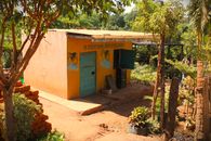 Vibrant rural Ugandan barbershop adorned with artistic murals amidst lush greenery.