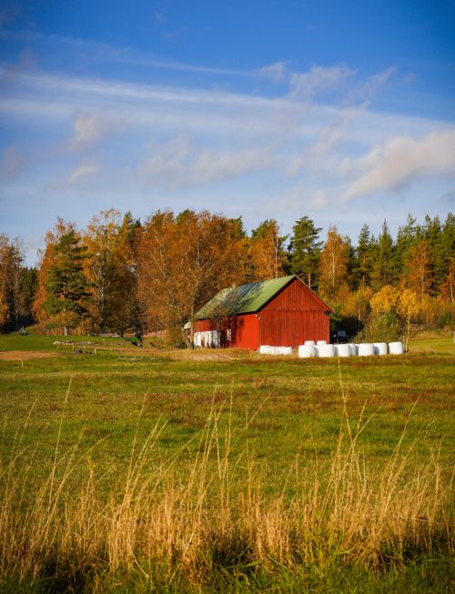 Free Charming rural scene with a red barn amidst fall foliage under a clear blue sky. Stock Photo