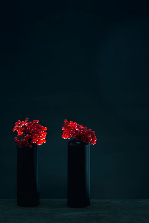 Free Moody minimalist still life of red berries in dark vases against a black background. Stock Photo