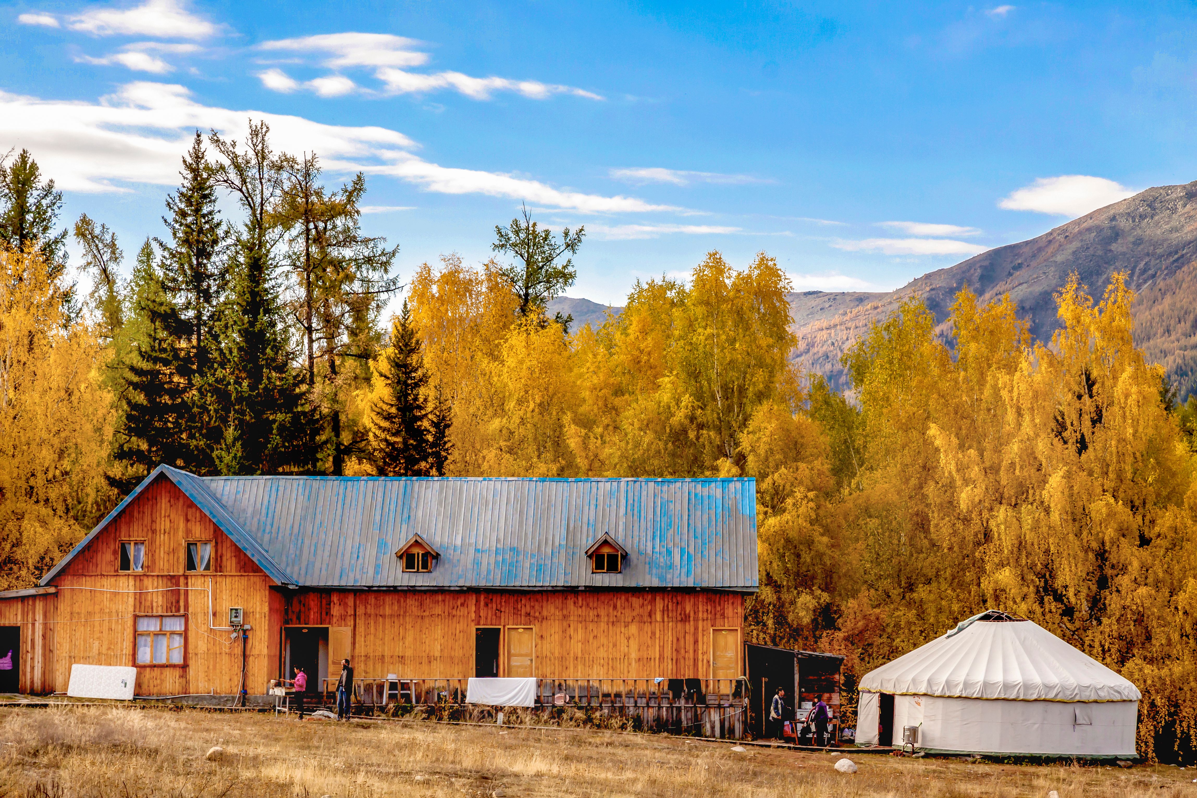 Rustic House and Yurt in Autumn Forest · Free Stock Photo