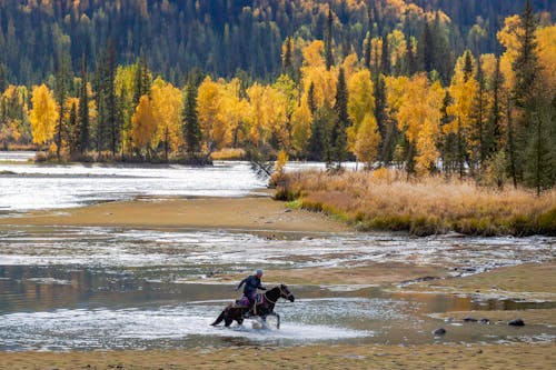 International Parks That Are Gorgeous in Autumn Foliage